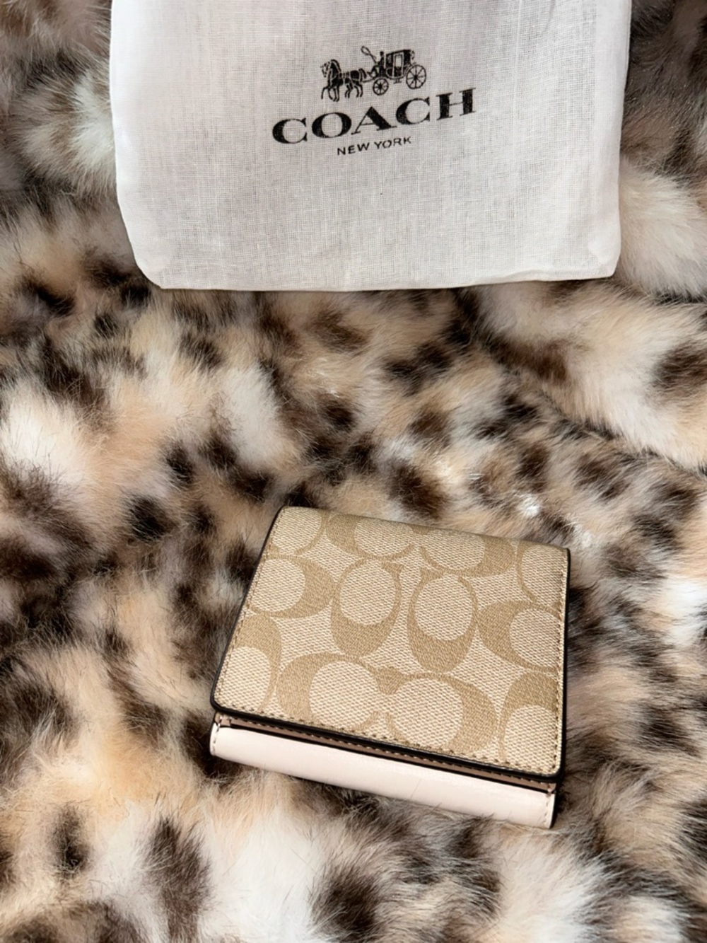 Coach Eliza Small Wallet in Signature Canvas CP255 in Gold/Light Khaki Chalk - Picture 12 of 14